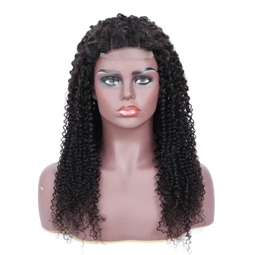 Cheap Raw Indian Human Hair Kinky Curly Wigs Pre Plucked 5X5 Hd Lace Closure Wigs For Black Women Water Wave Lace Front Wigs