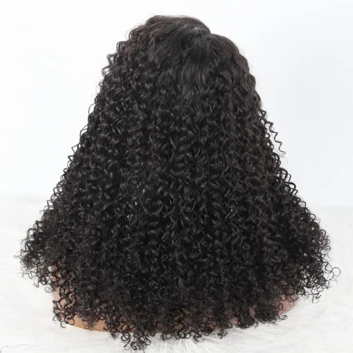 13x4 T Part Curly Transparent Lace Front 100% Virgin Human Hair Wigs, 180% Density Raw Virgin Mink Brazilian Hair Wigs - Image 2