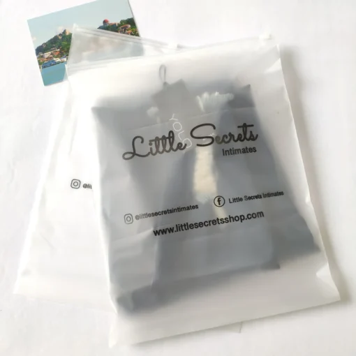 Printing Customized Matte Slider Frosted Plastic Packing Underdress Zipper Bag - Image 3