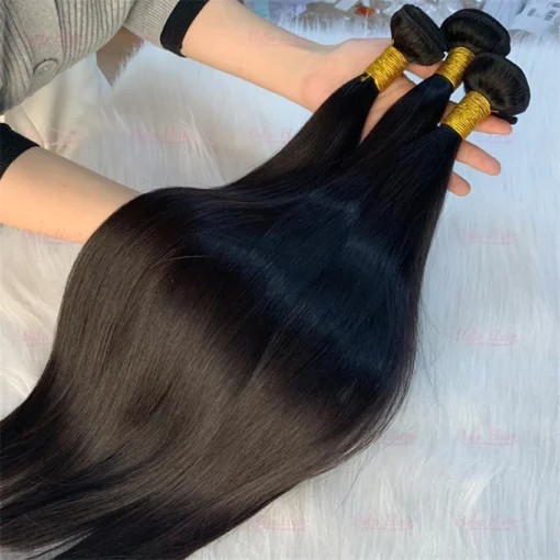 Lemoda Wholesale Cheap Price 100% Brazilian Raw Virgin Human Hair Extensions Cuticle Aligned Bundles Natural Virgin Hair Vendors - Image 2