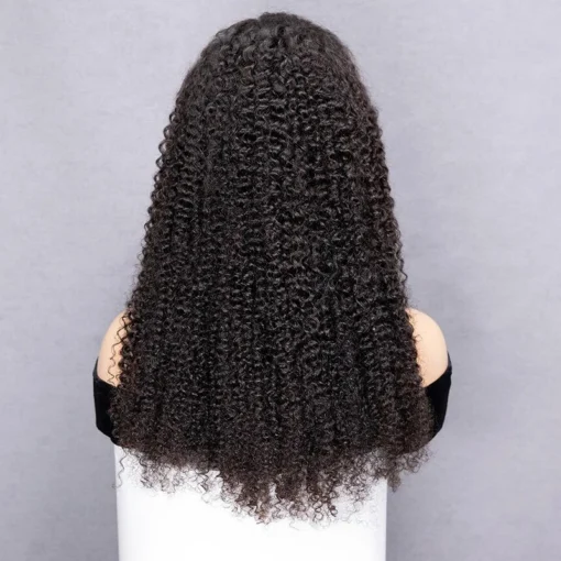 Ready To Ship Brazilian Virgin 13x4 HD Lace Frontal Afro Kinky Curly Wigs Transparent Lace Human Hair Wigs For Women - Image 4