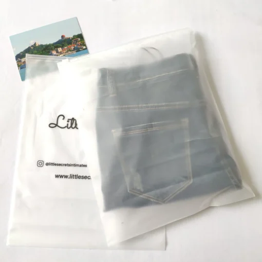 Printing Customized Matte Slider Frosted Plastic Packing Underdress Zipper Bag - Image 4